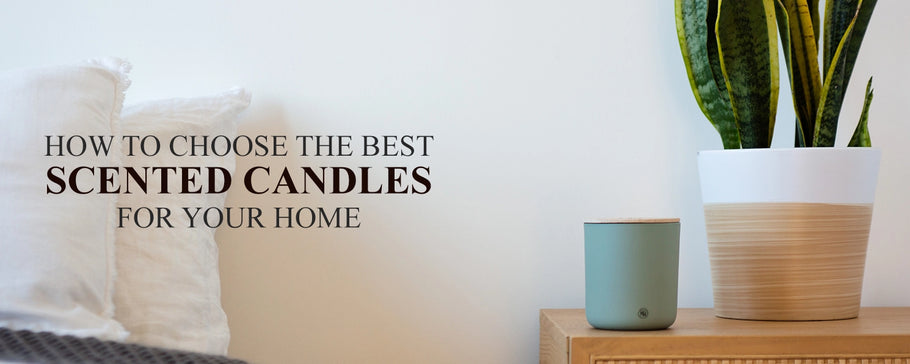 How to Choose The Best Scented Candles For Your Home 2022